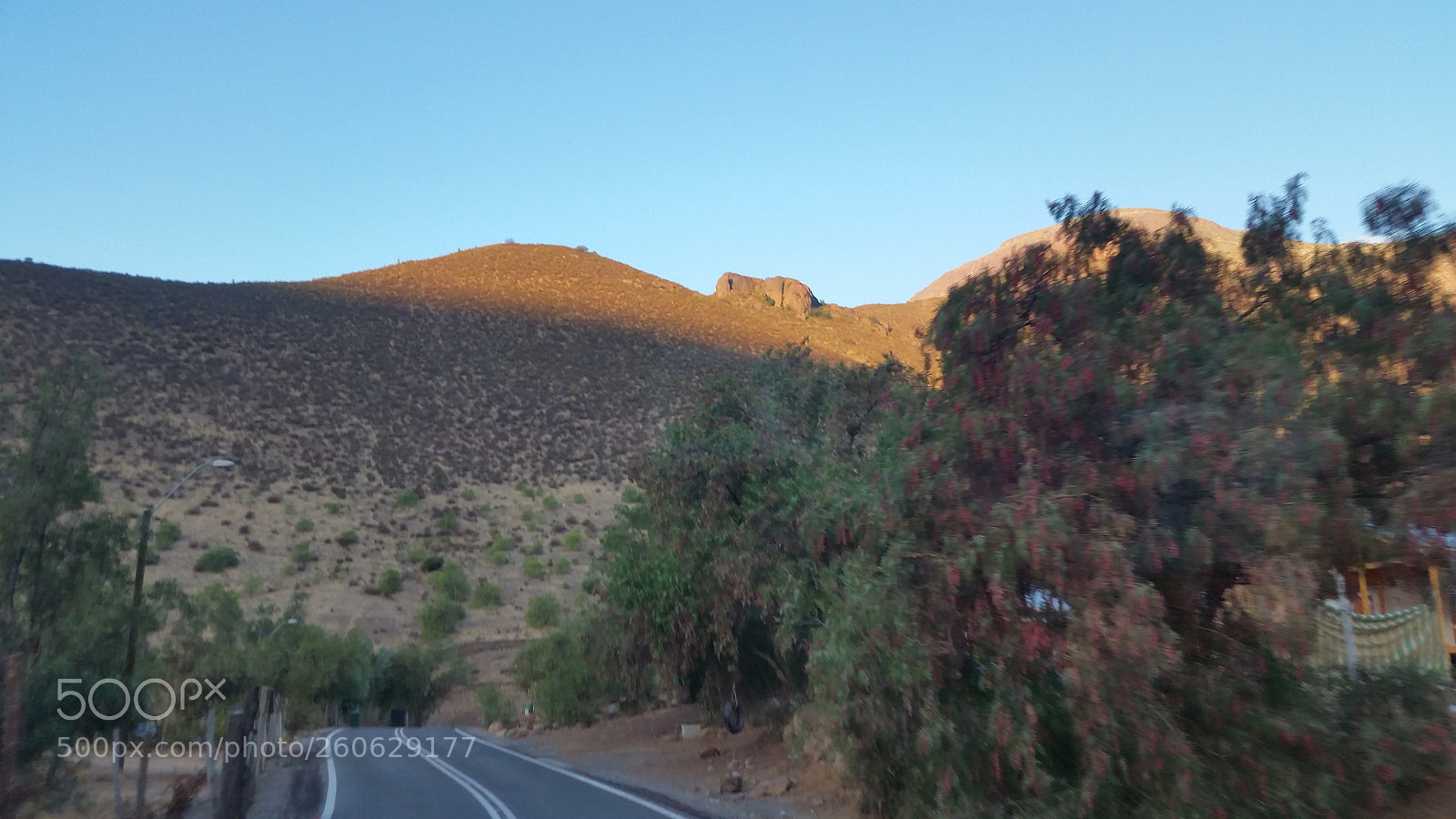 Samsung Galaxy S5 sample photo. Untitled photography