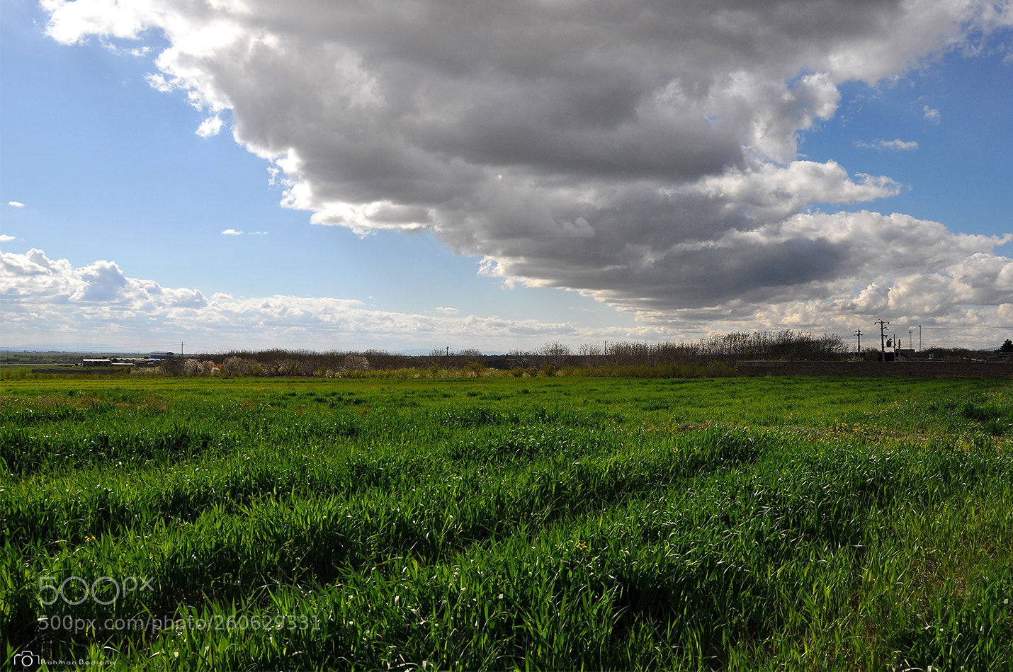 Nikon D90 sample photo. Ghadamgah nature photography