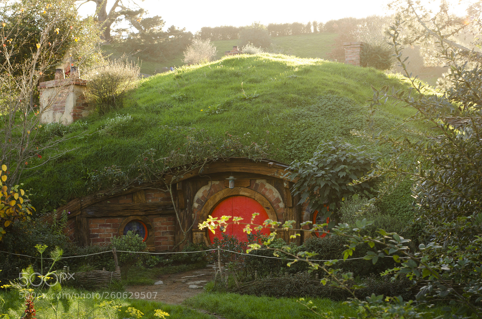 Nikon D5100 sample photo. Hobbiton photography