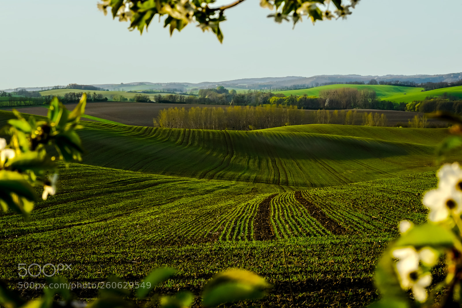 Sony a7R II sample photo. Waves photography