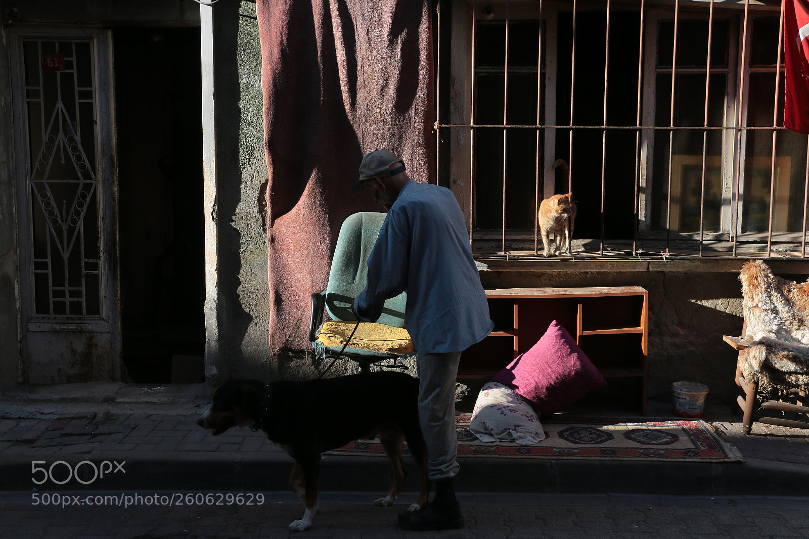 Canon EOS 70D sample photo. Img photography