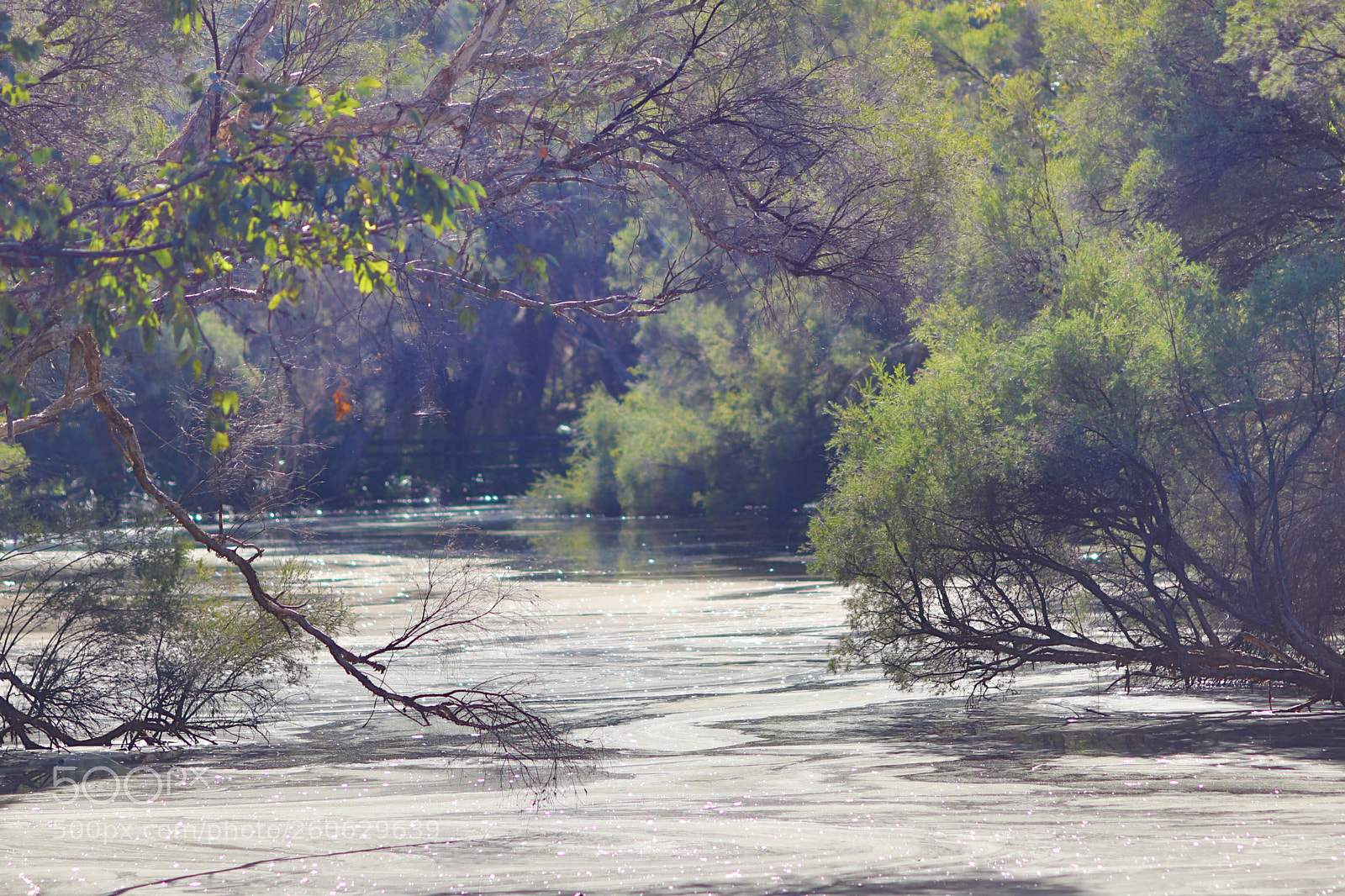Canon EOS 77D (EOS 9000D / EOS 770D) sample photo. Bennet brook photography