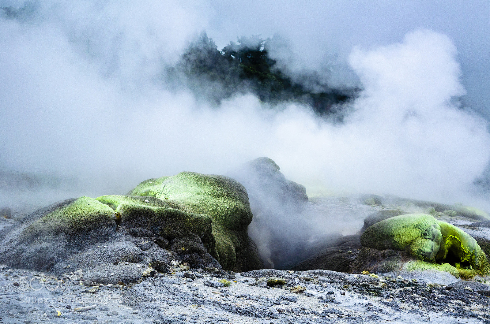 Nikon D5100 sample photo. New zealand photography