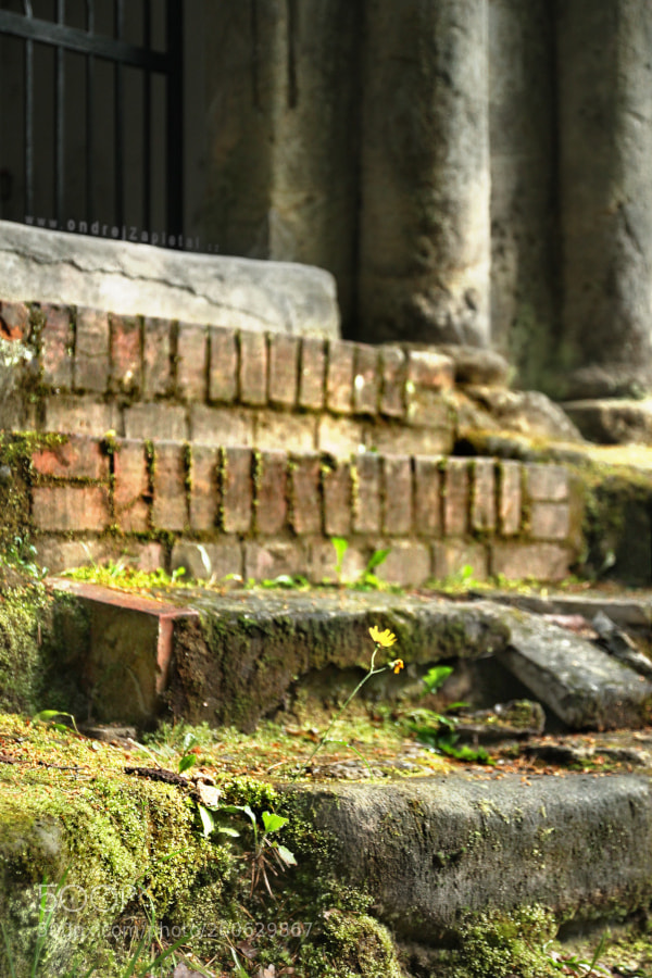 Canon EOS 1100D (EOS Rebel T3 / EOS Kiss X50) sample photo. Stairs to a chapel photography