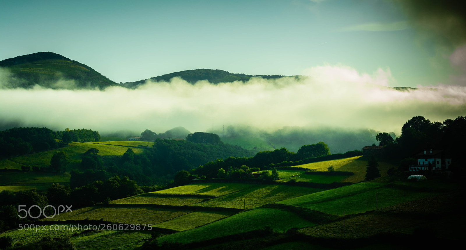 Nikon D5200 sample photo. Foggy photography
