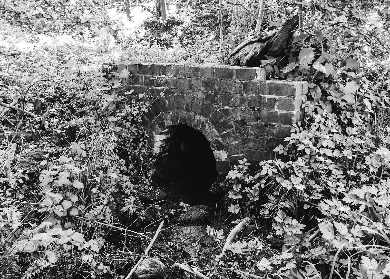 Apple iPhone 6 sample photo. Brick culvert photography