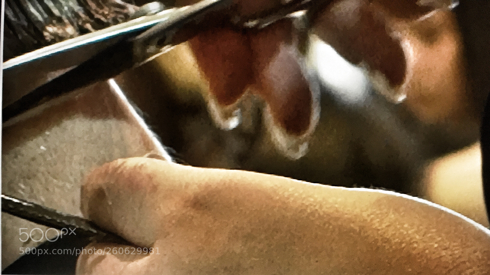 Apple iPhone 6 Plus sample photo. Popmixer.trimmed by a professional photography