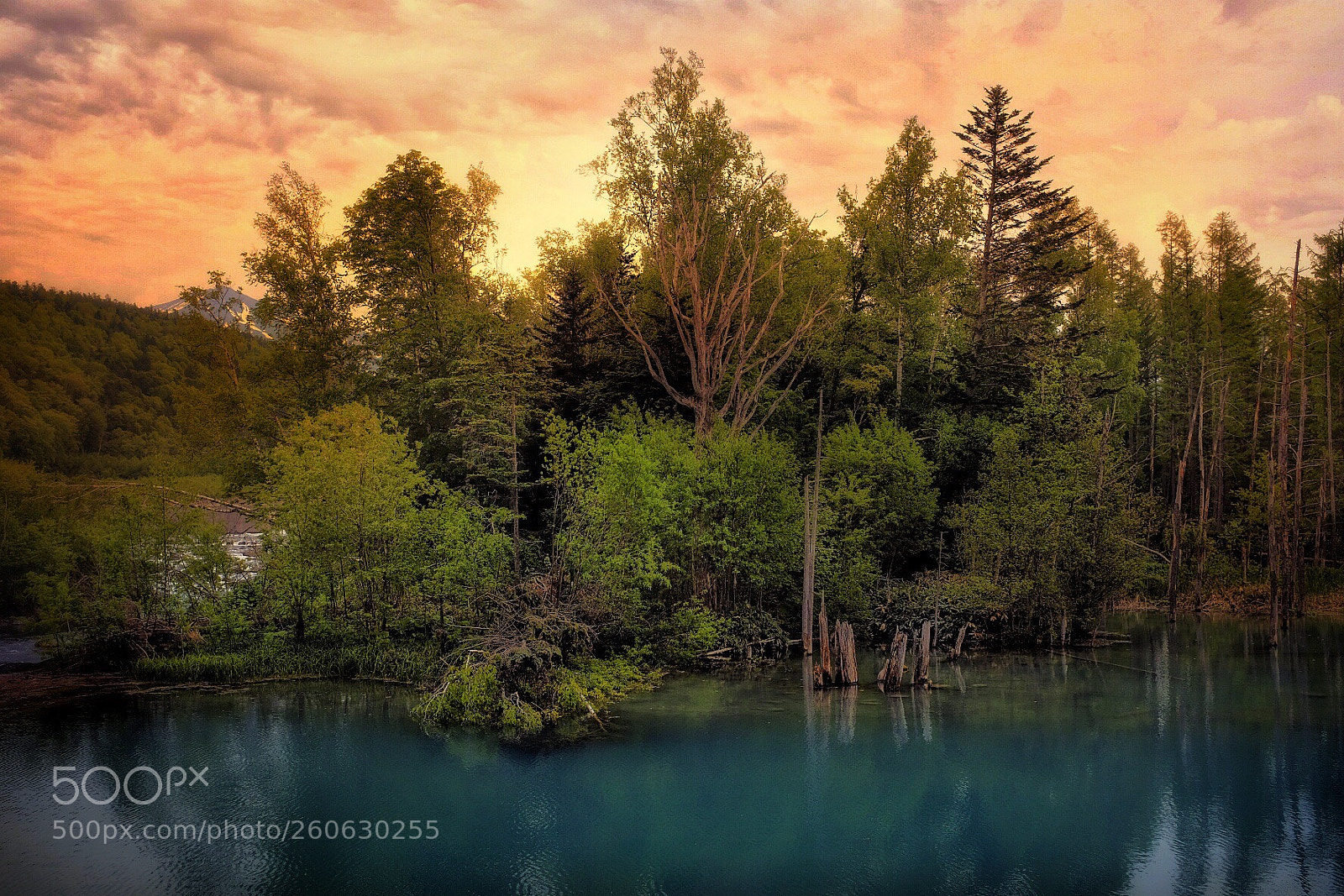 Fujifilm X100F sample photo. Blue pond biei photography