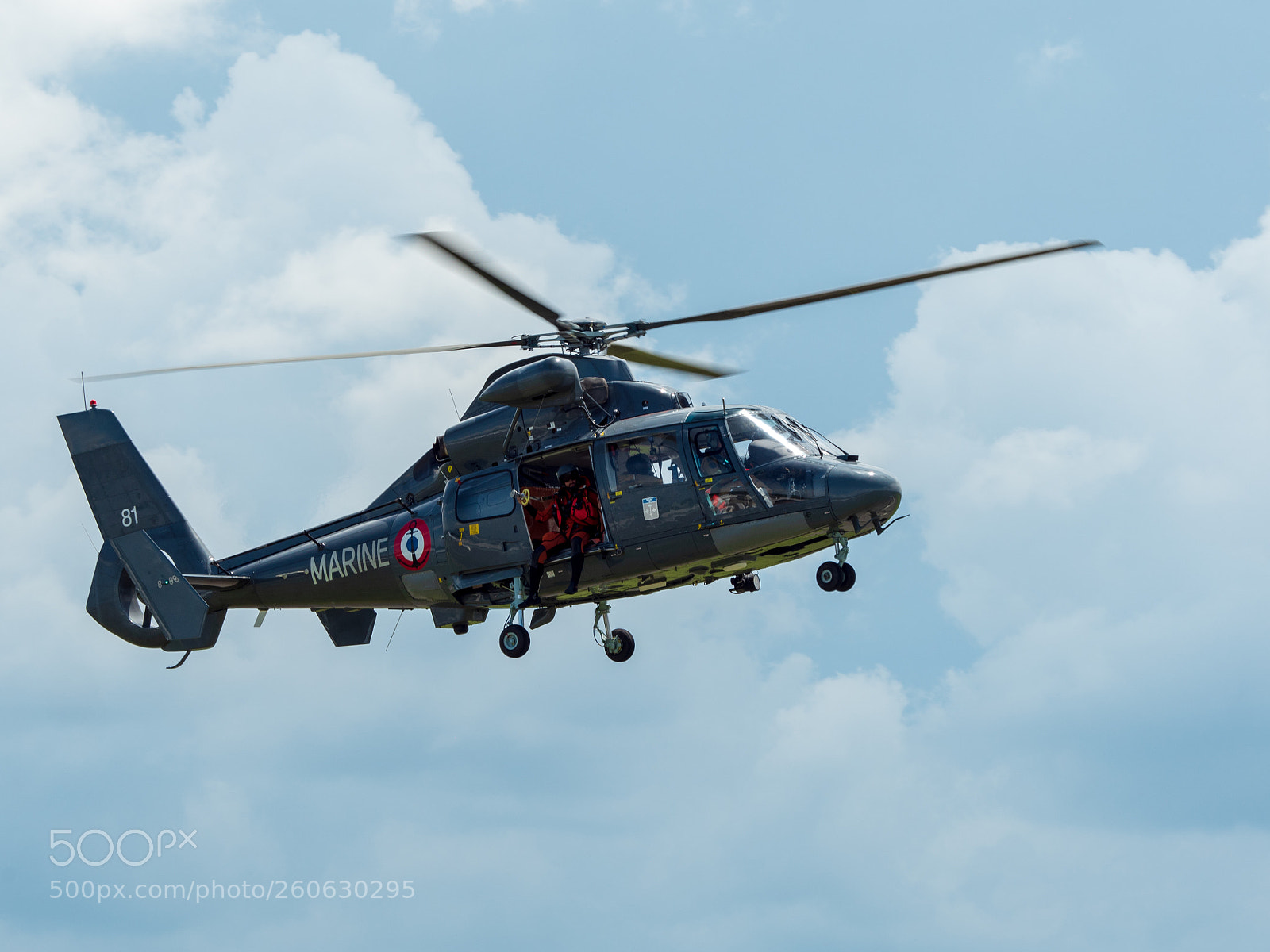 Panasonic Lumix DMC-GH4 sample photo. Marine national dauphin photography