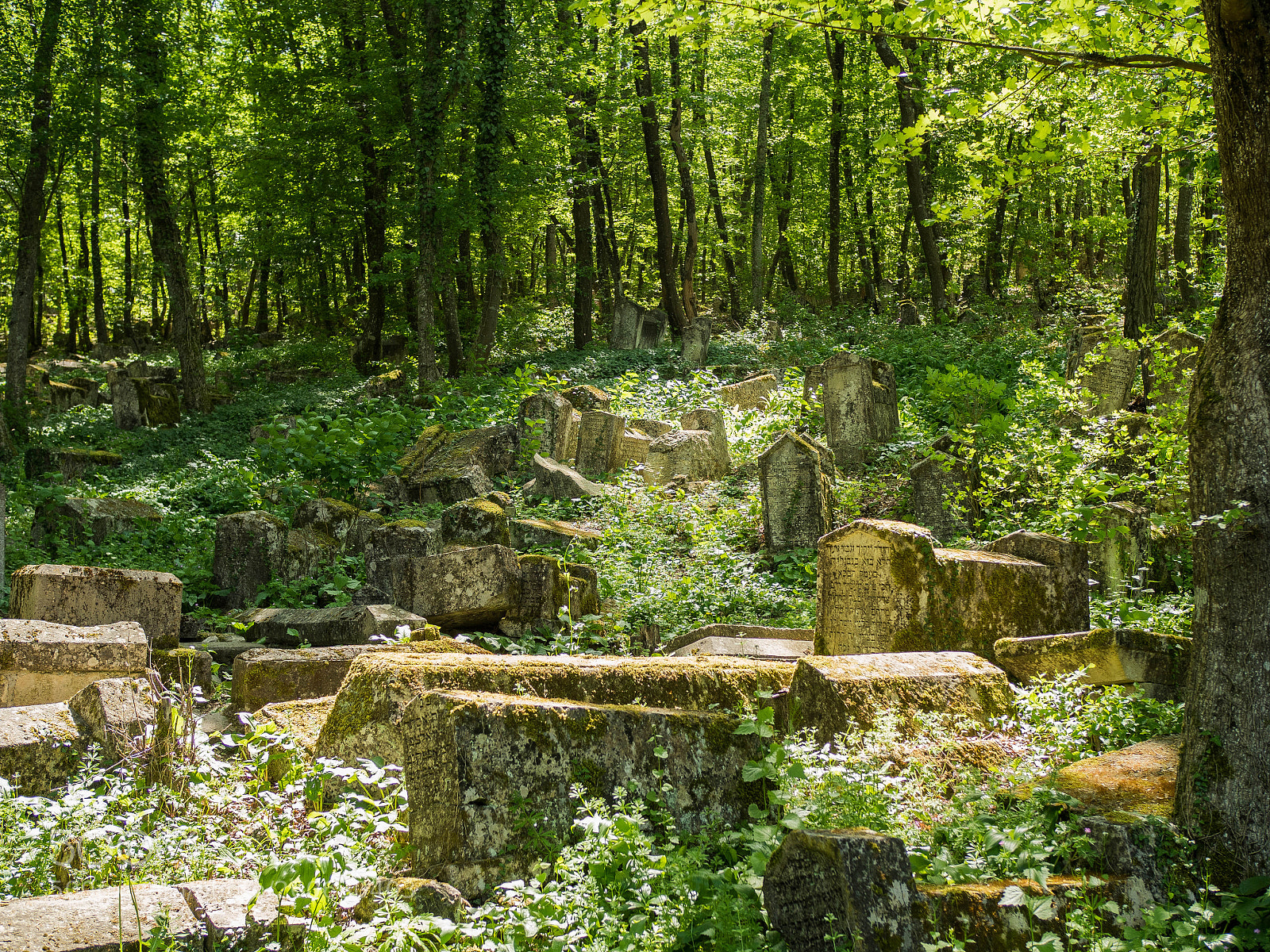 Olympus OM-D E-M5 II sample photo. Crimea bakhchisaray photography