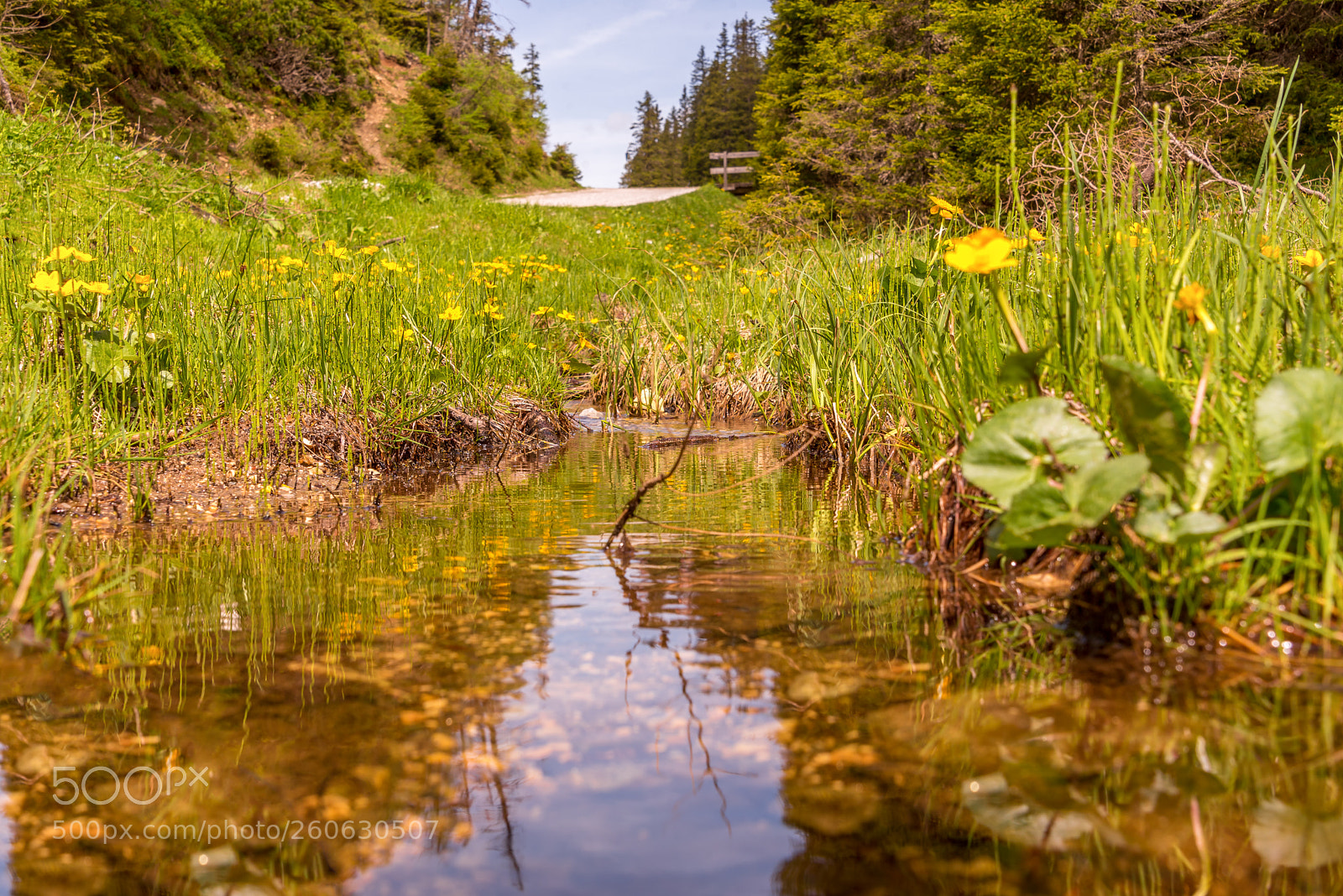 Nikon D750 sample photo. Maria waldrast - silent photography