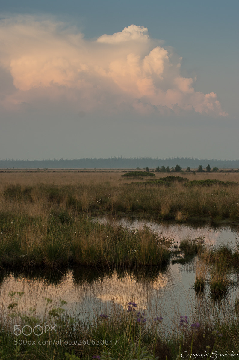 Pentax K-3 sample photo. After the rain. photography