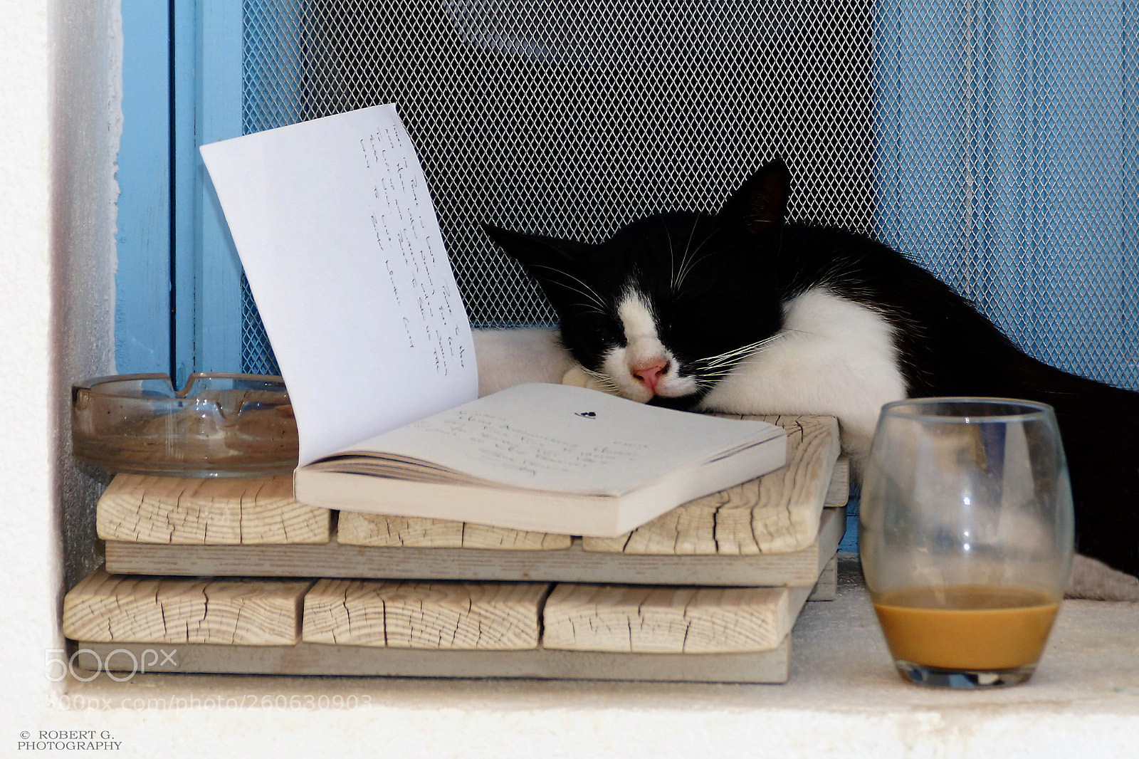 Sony SLT-A77 sample photo. Cat life in greece photography
