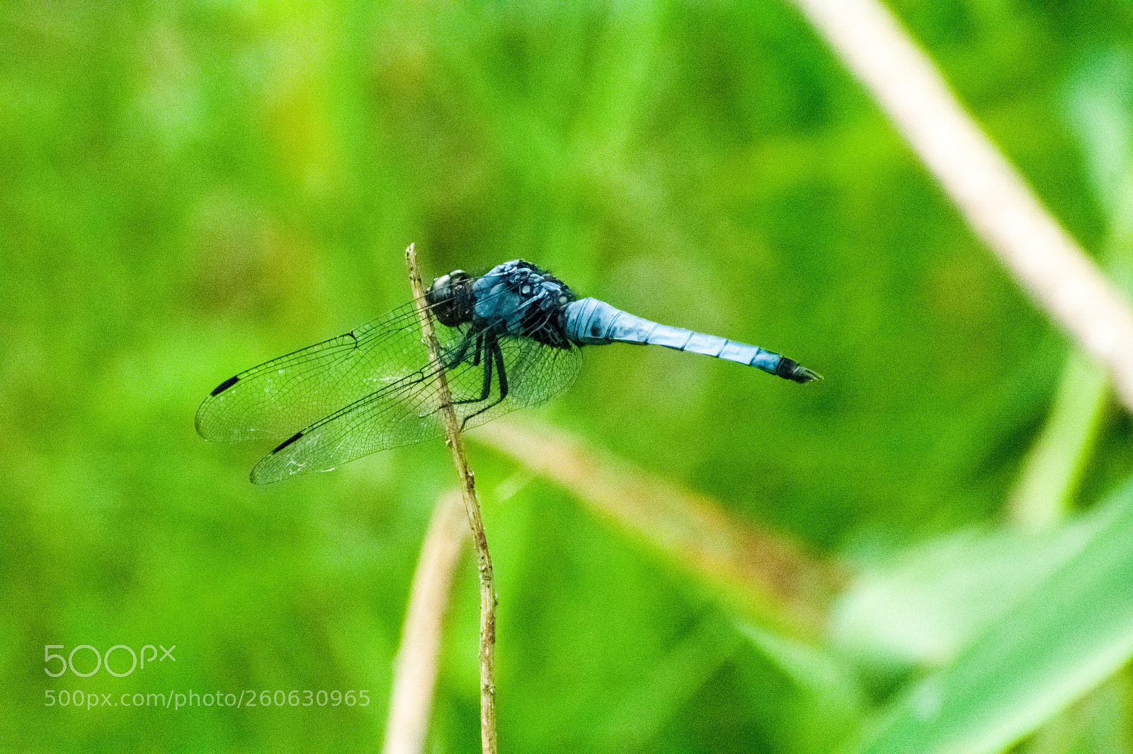 Nikon D3400 sample photo. Image photography