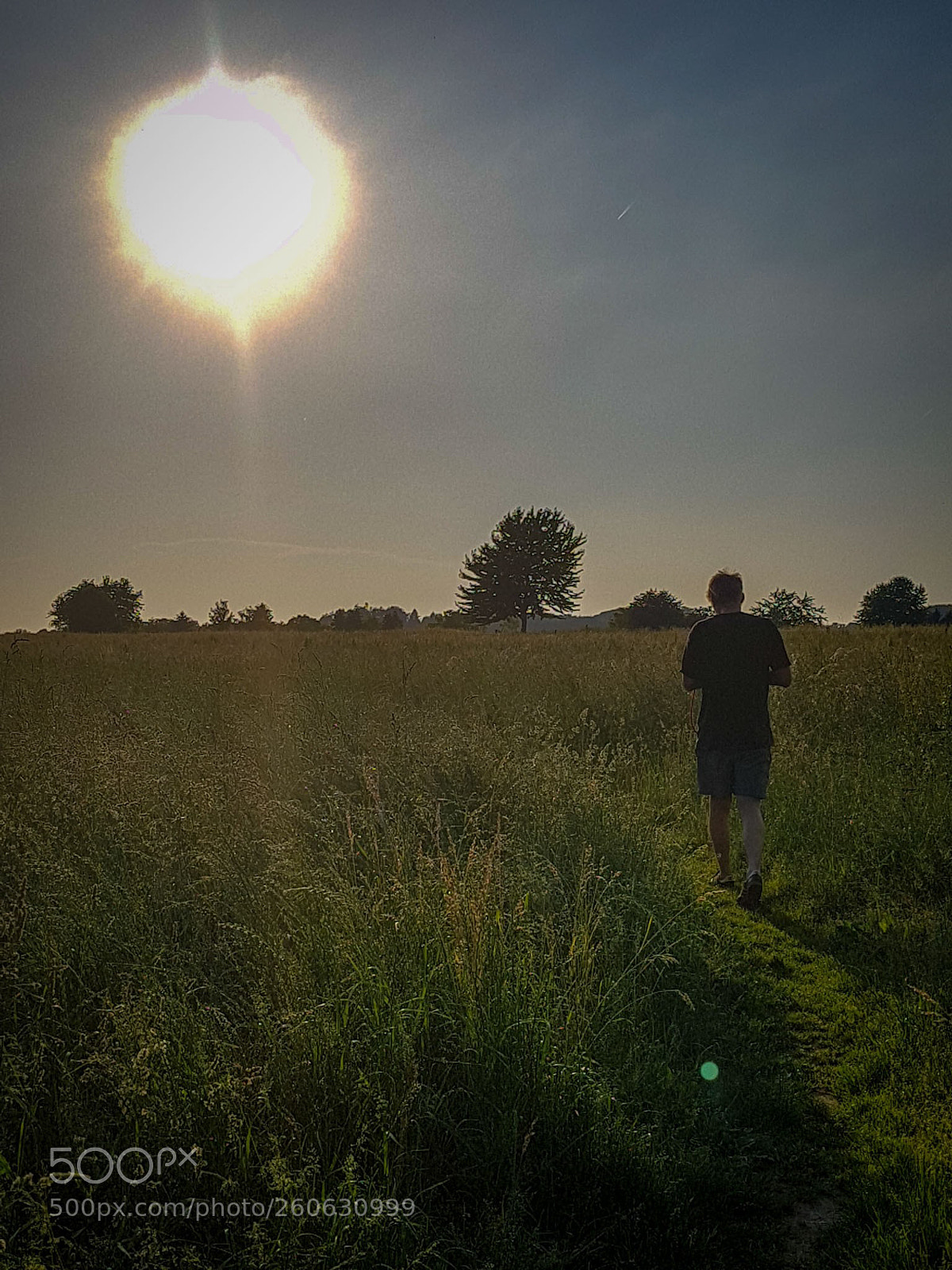 Samsung Galaxy S7 sample photo. Untitled photography