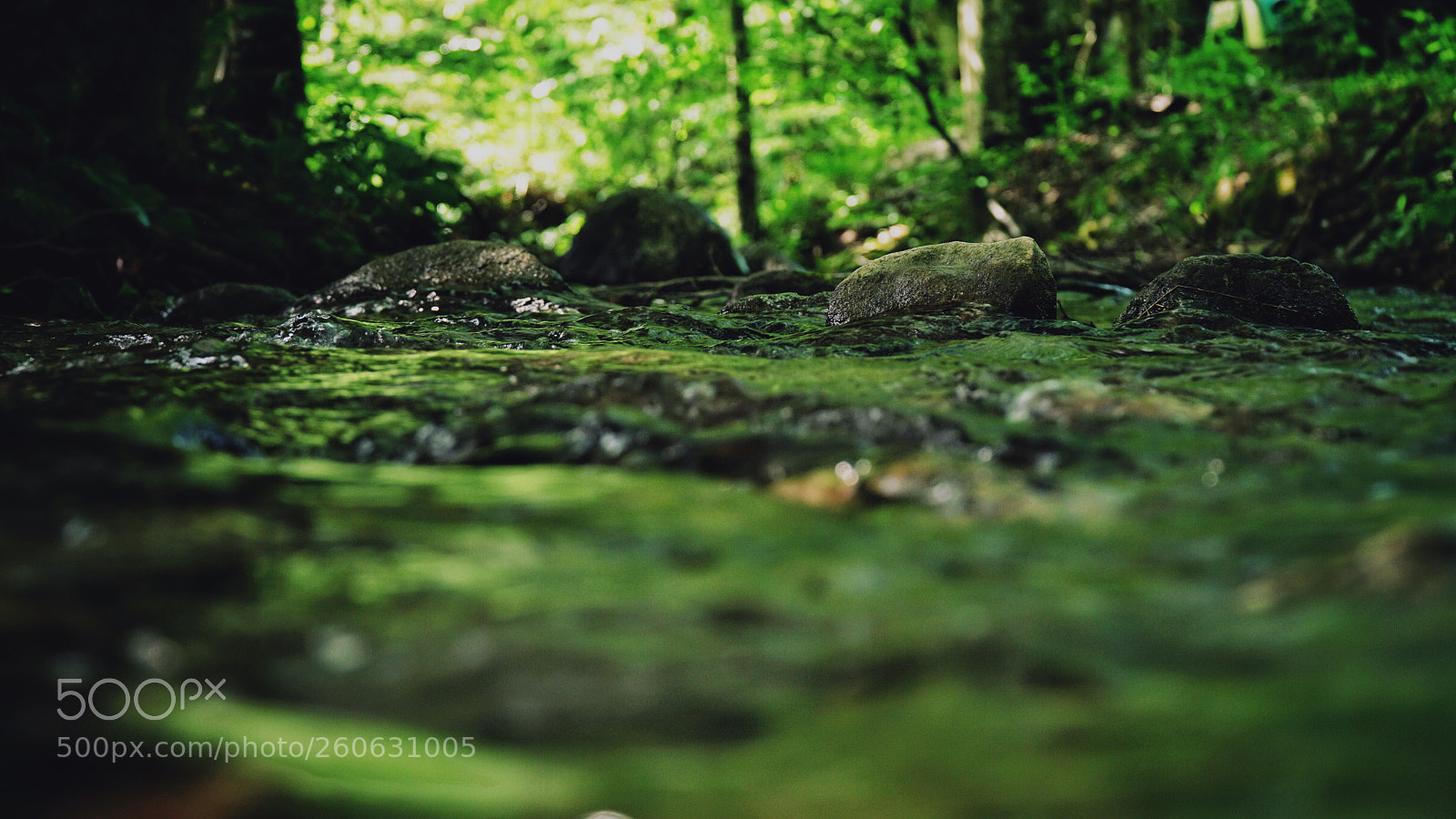 Sony a6300 sample photo. Stepping stones. photography