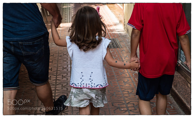 Olympus OM-D E-M1 Mark II sample photo. . photography