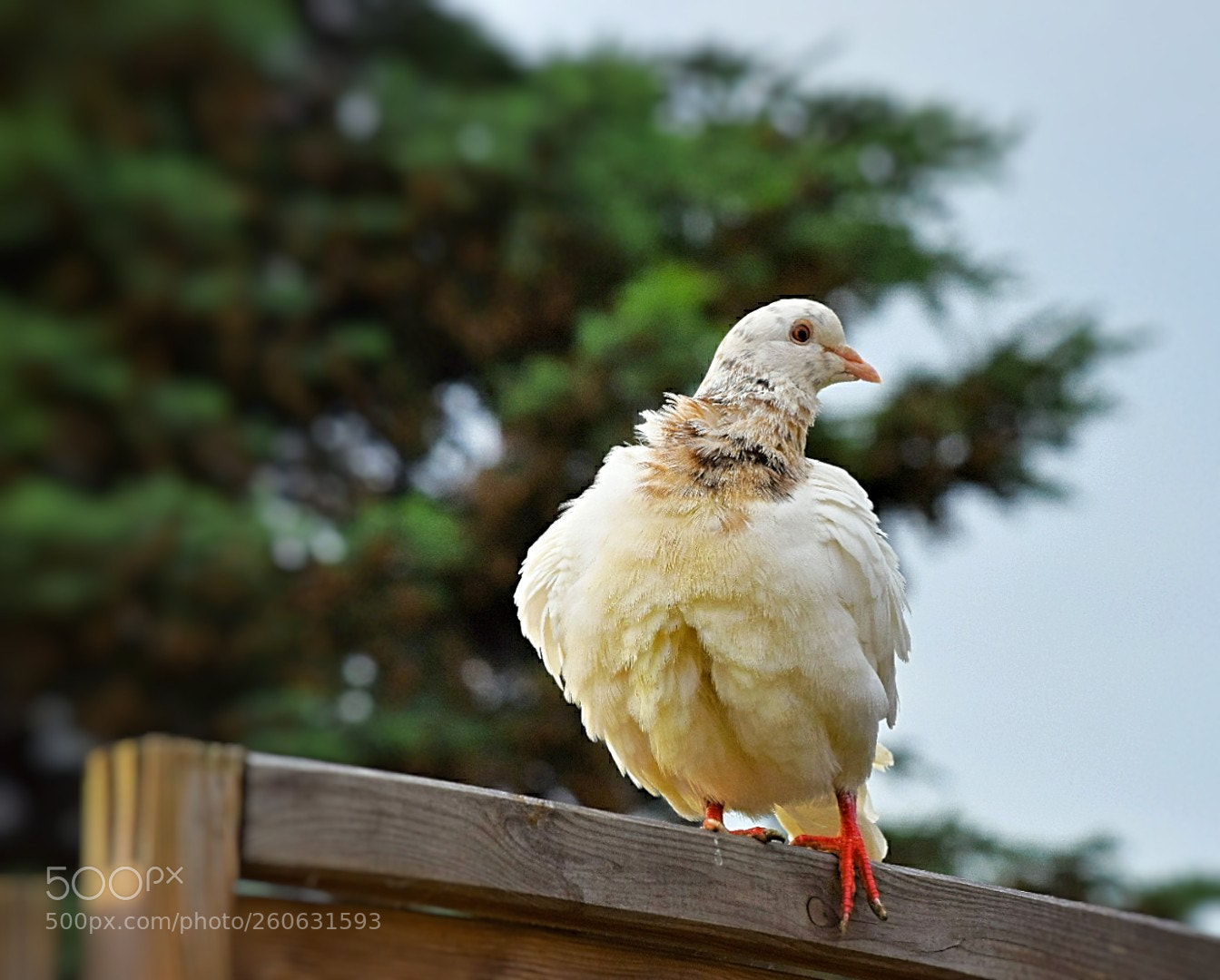 Nikon D5300 sample photo. Die kennt ihr ja photography