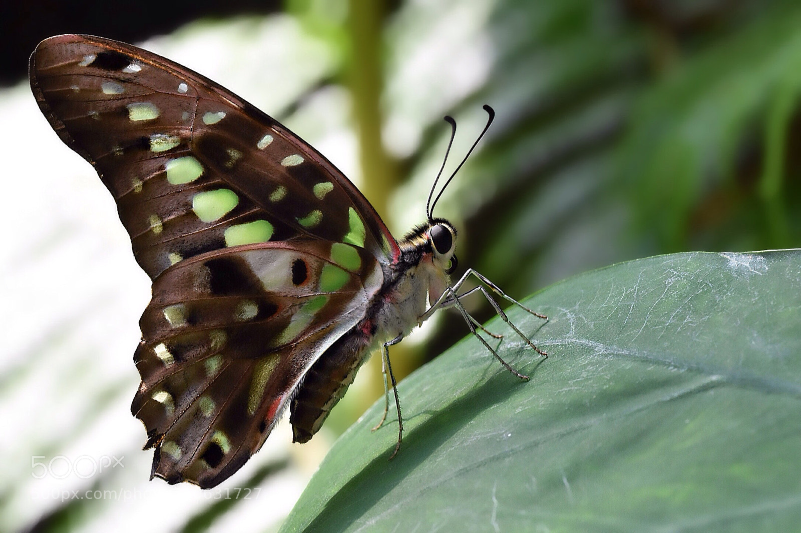 Nikon D7200 sample photo. Nature photography