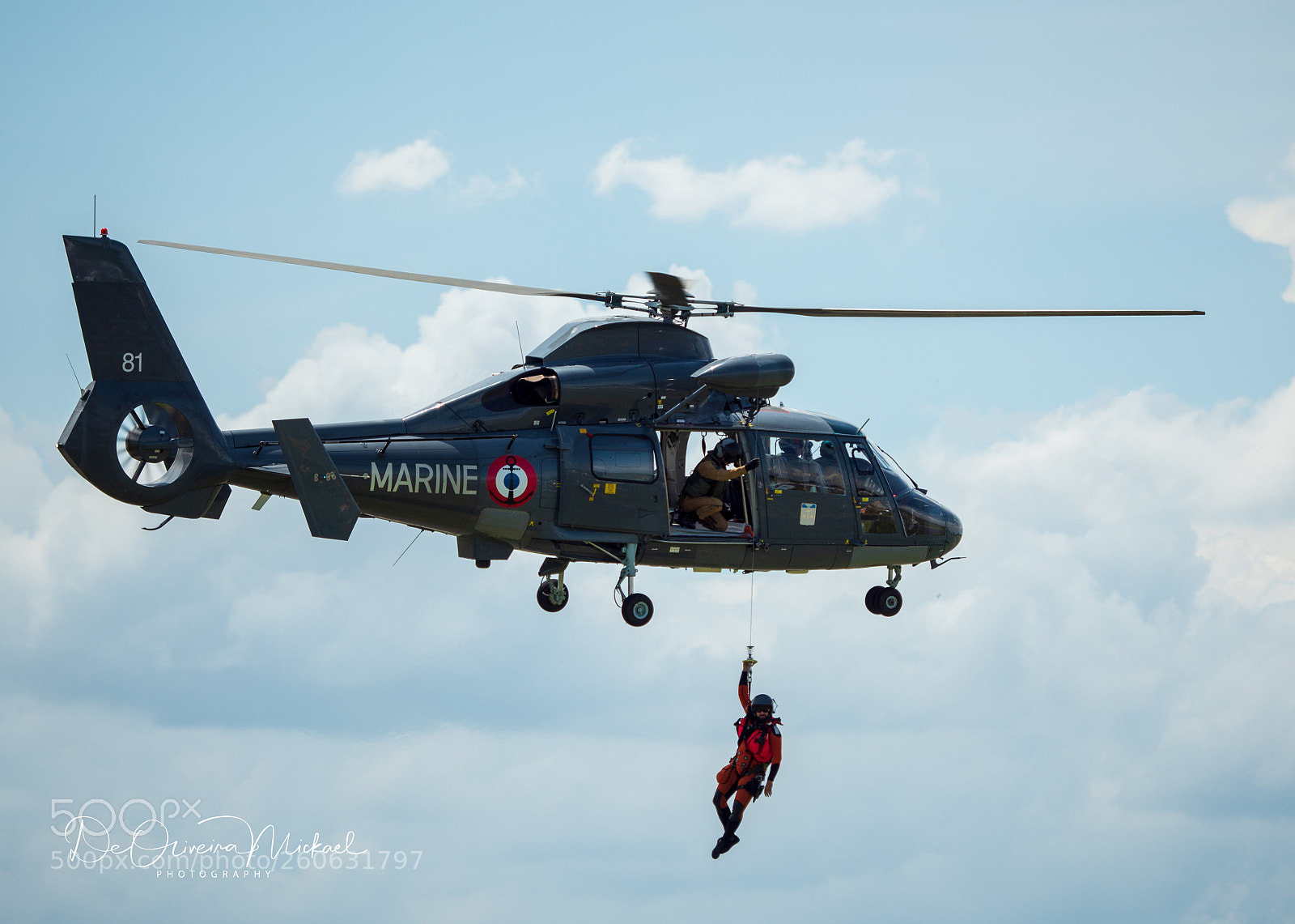 Panasonic Lumix DMC-GH4 sample photo. Dauphin marine photography