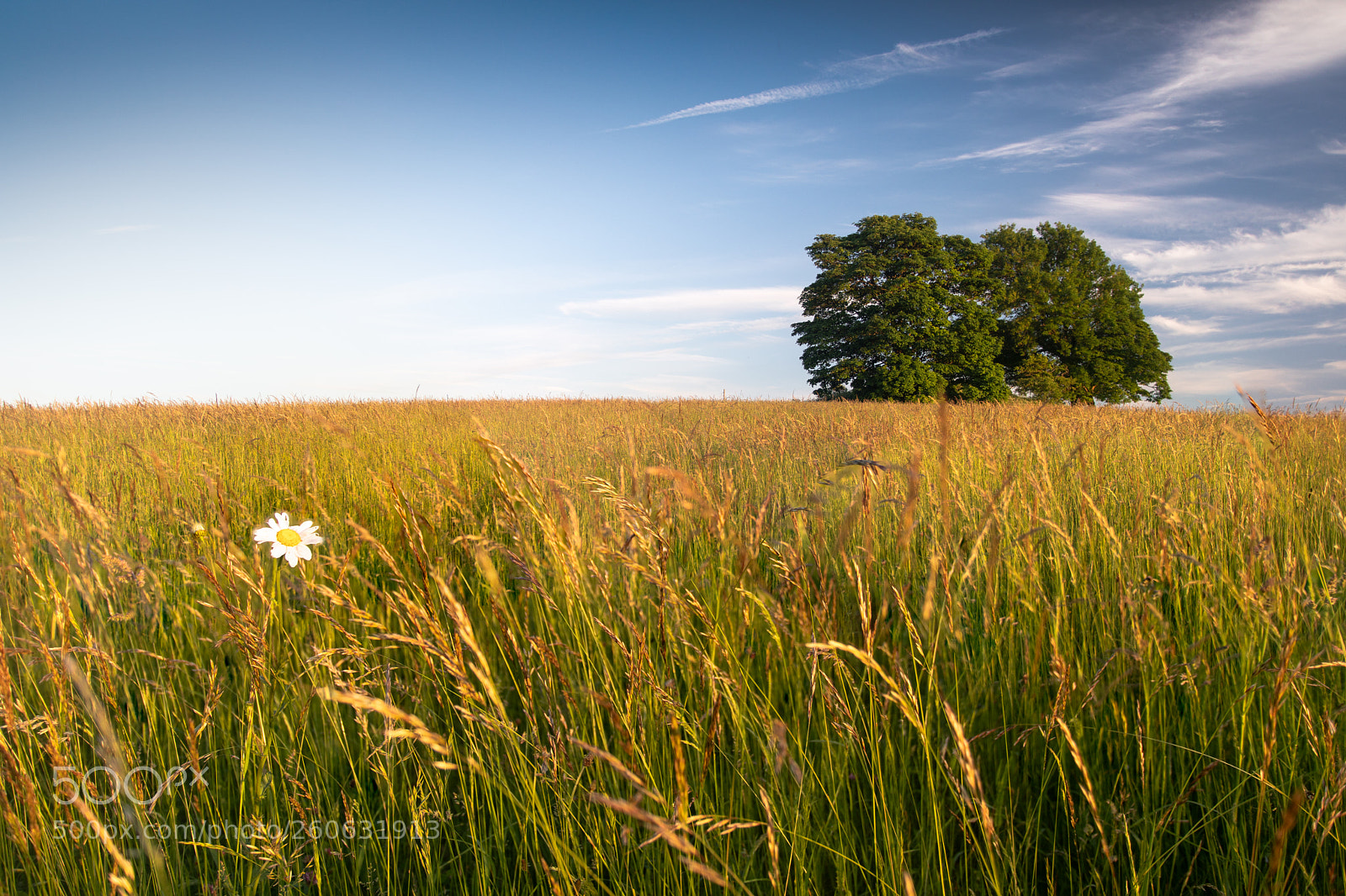 Canon EOS 5D Mark IV sample photo. Middle hill photography