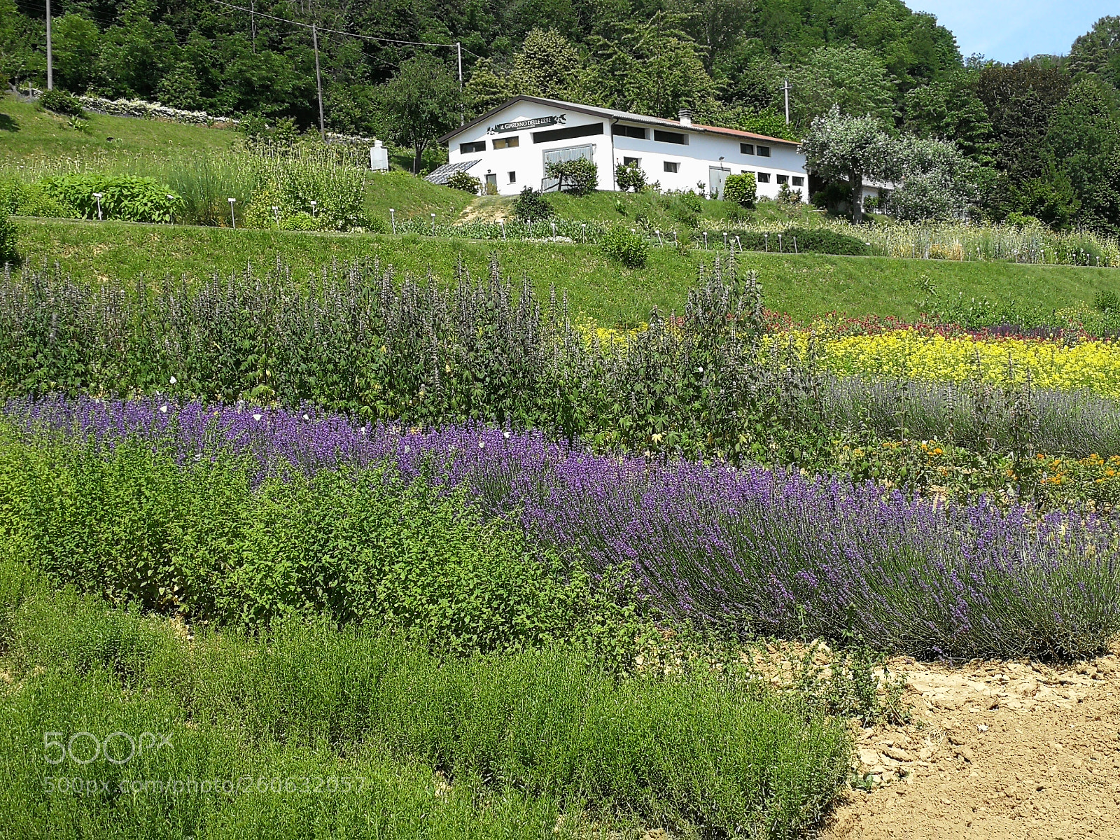 HUAWEI P10 sample photo. Il giardino delle erebe photography