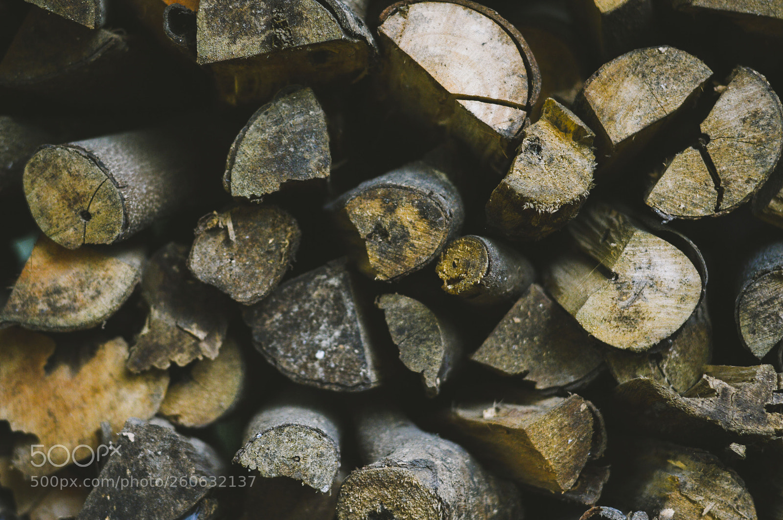 Nikon D3200 sample photo. The wood photography
