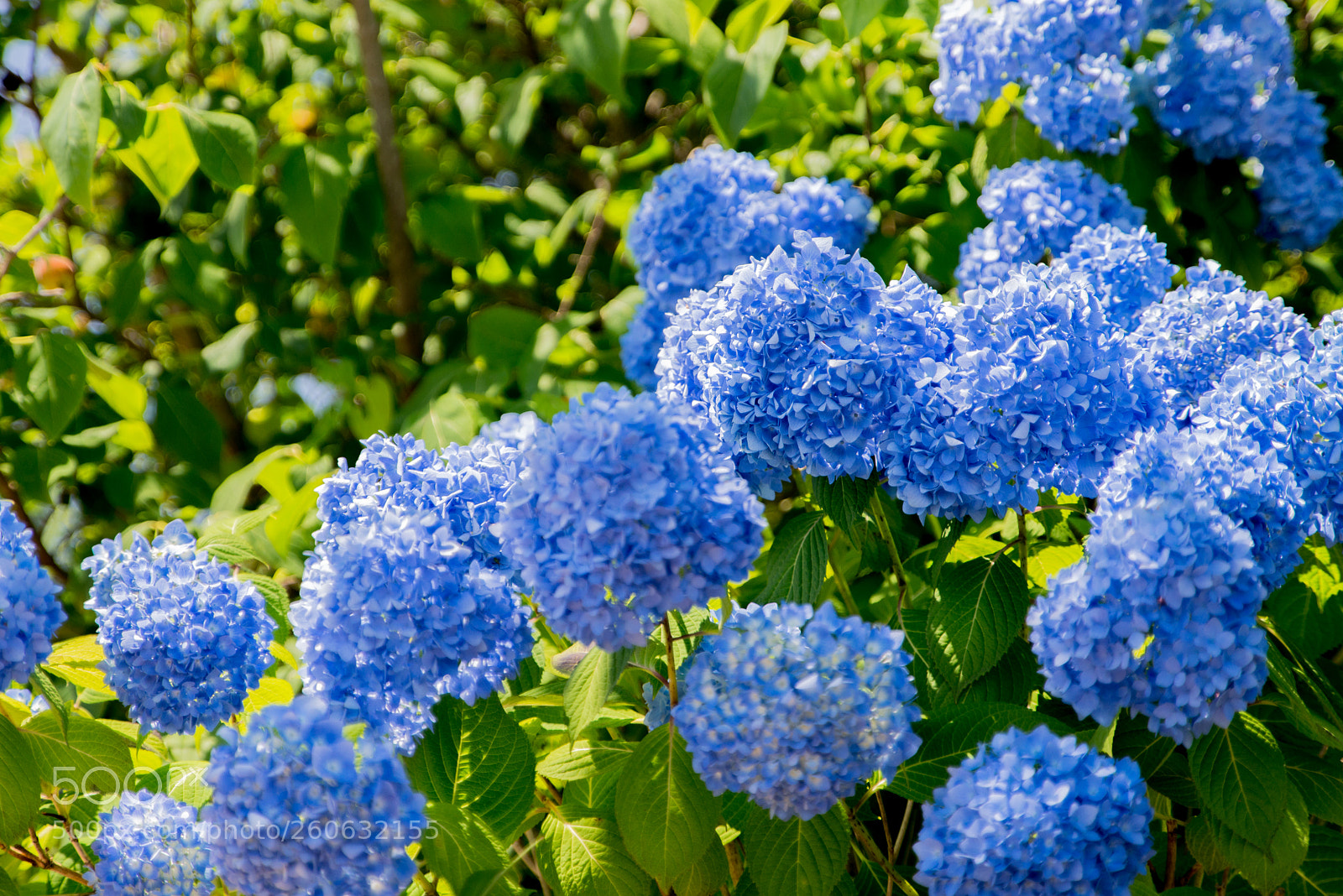 Nikon D610 sample photo. 0511-2245.jpg photography