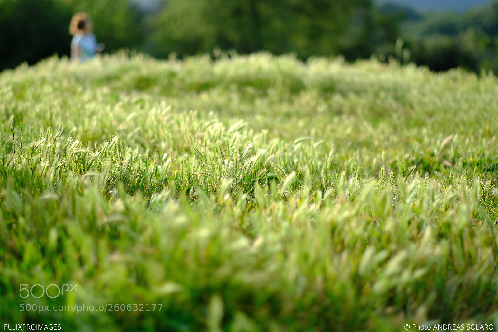 Fujifilm X-Pro2 sample photo. Green sea photography