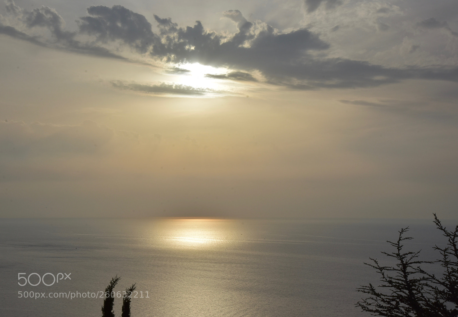 Nikon D7200 sample photo. Oasis (3) photography