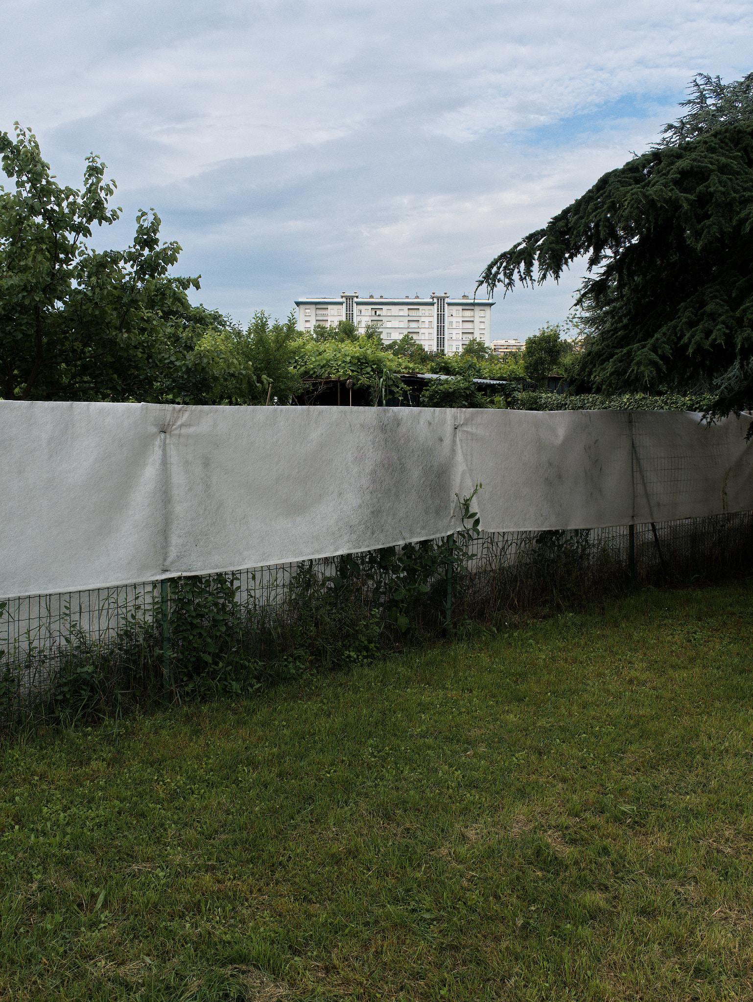 Panasonic Lumix DC-GX9 sample photo. Le printemps dans les jardins photography