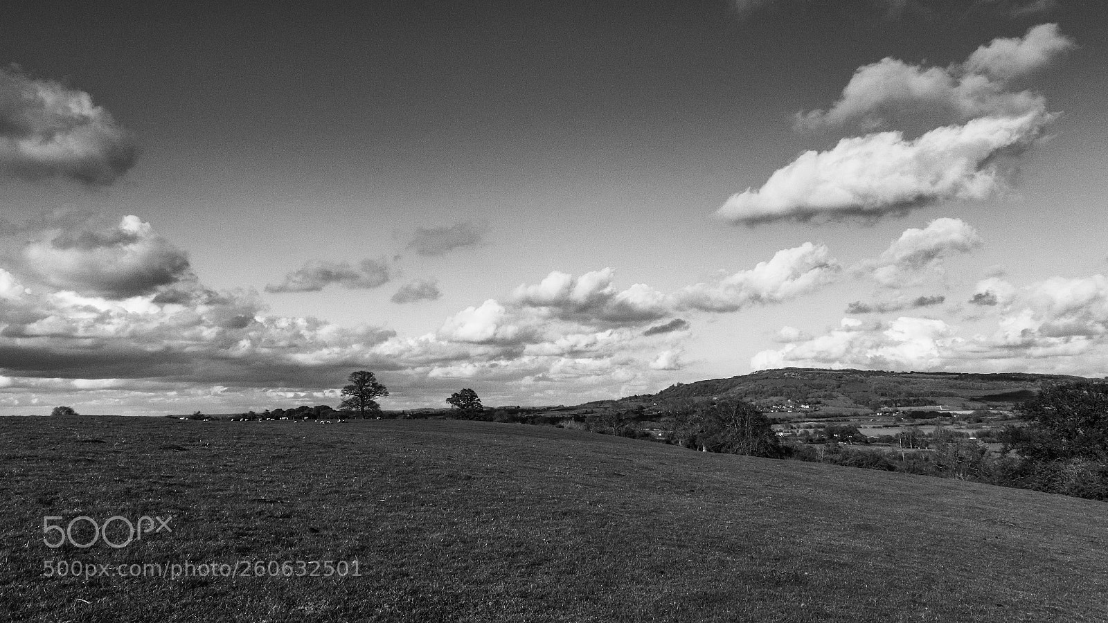 Canon EOS 200D (EOS Rebel SL2 / EOS Kiss X9) sample photo. Out towards bredon photography
