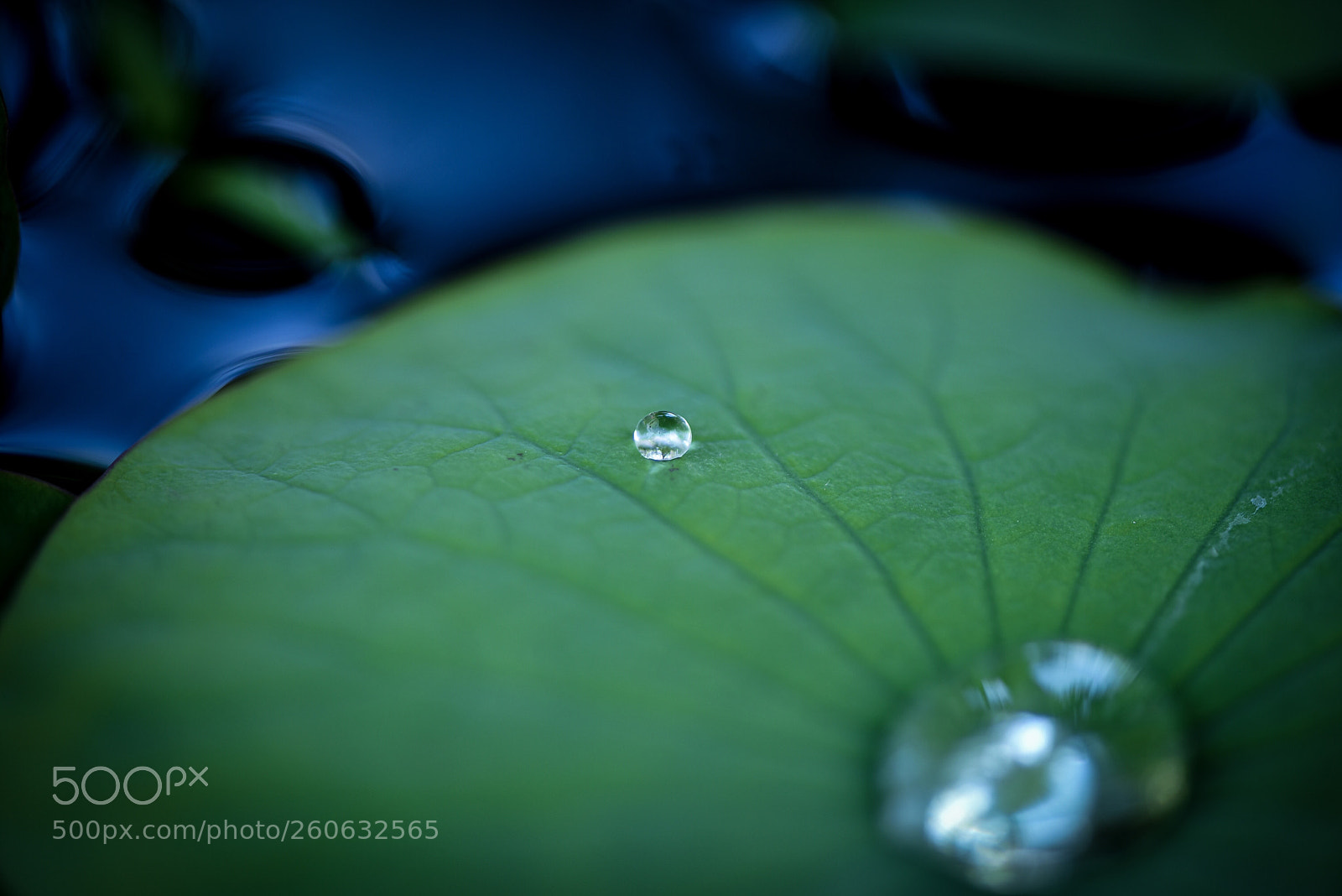 Nikon D750 sample photo. Untitled photography