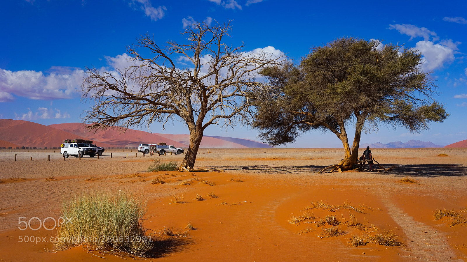 Sony a7 sample photo. Sossusvlei dune 45 photography