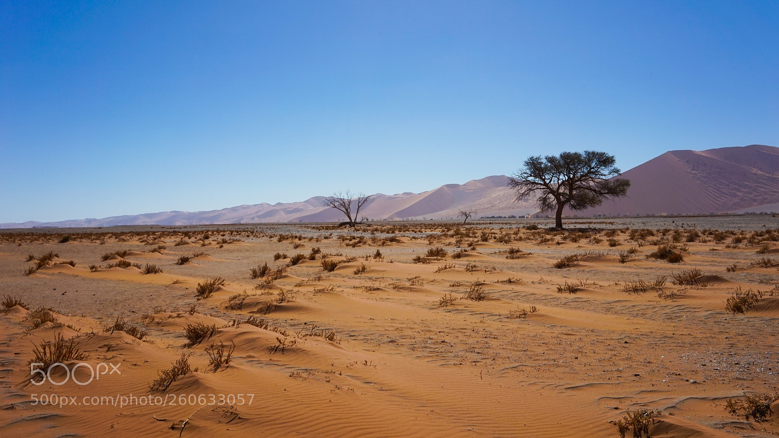 Sony a7 sample photo. Sossusvlei photography