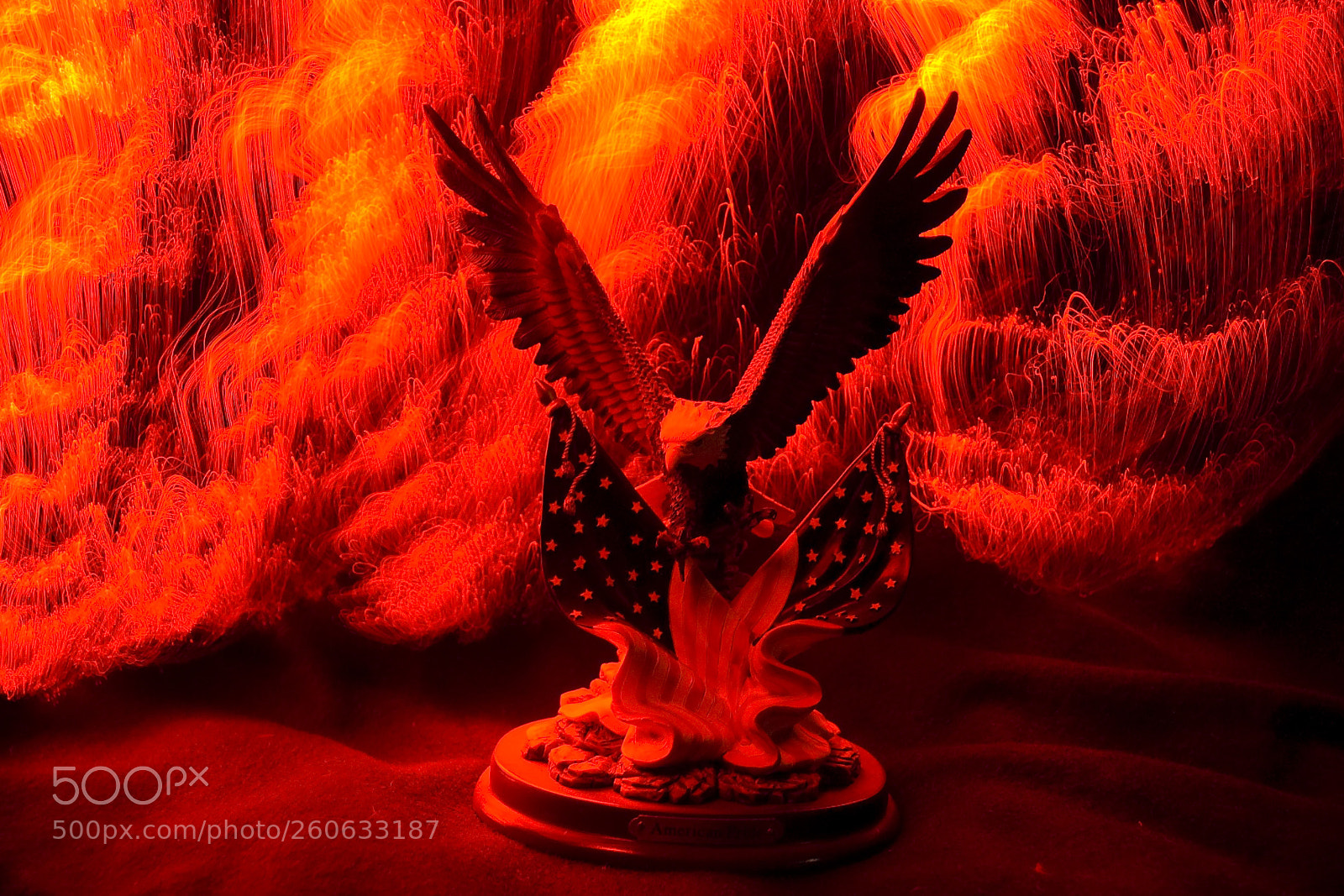 Nikon D40 sample photo. American eagle photography