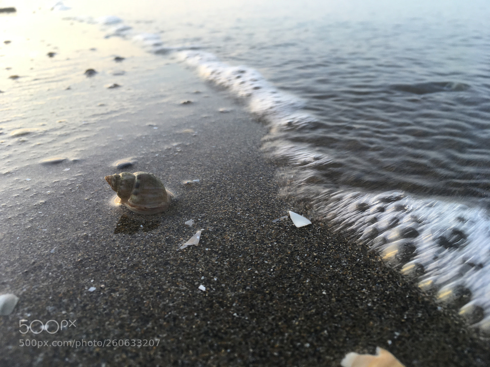 Apple iPhone SE sample photo. Pagu photography
