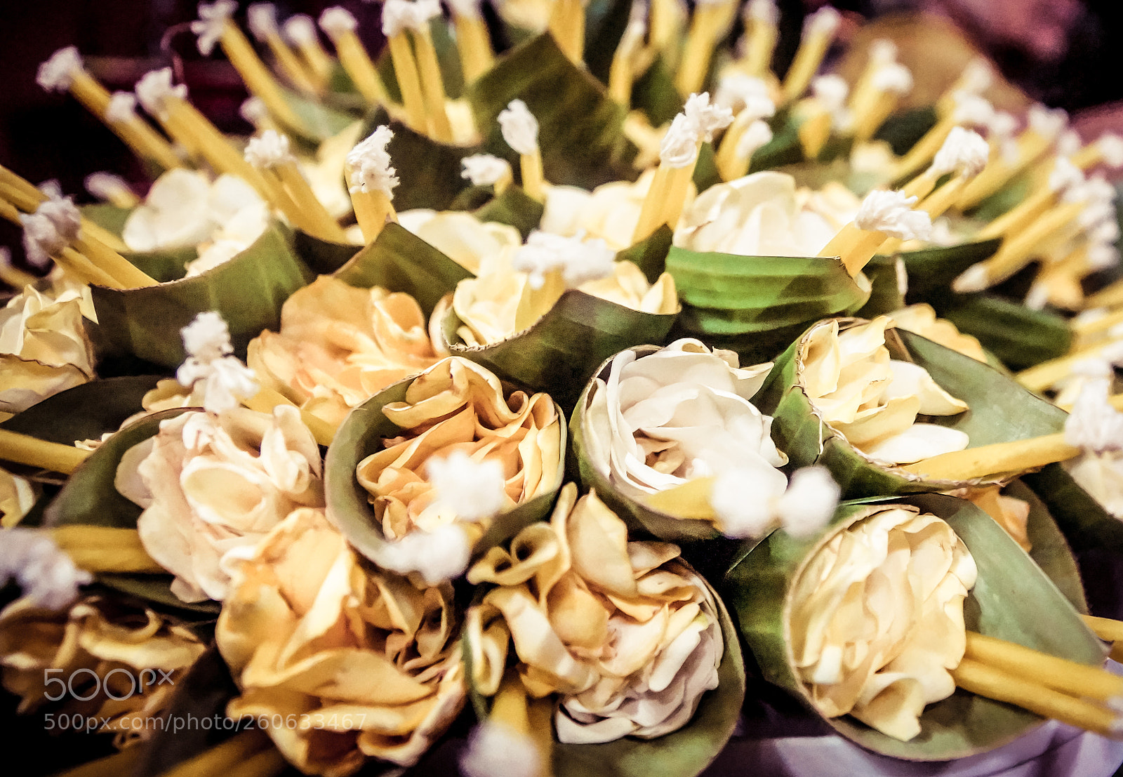 Sony SLT-A77 sample photo. Flower of worship photography