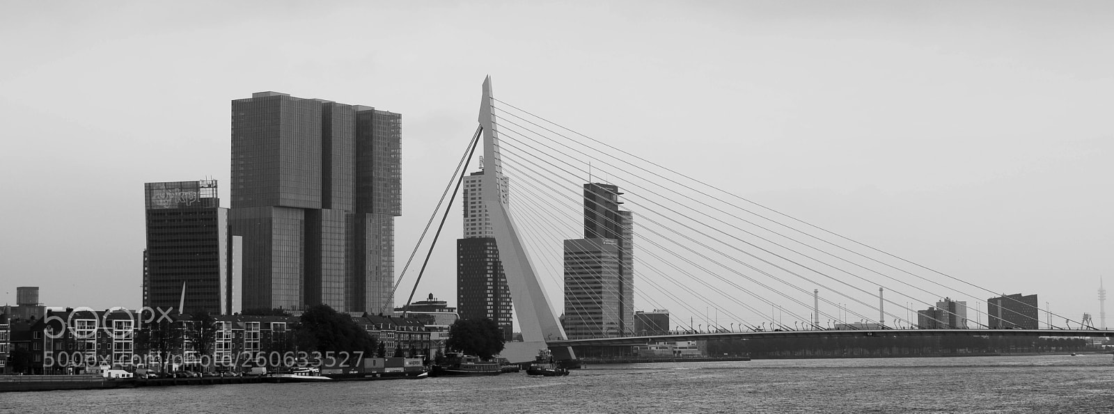 Nikon D5200 sample photo. Erasmusbridge photography