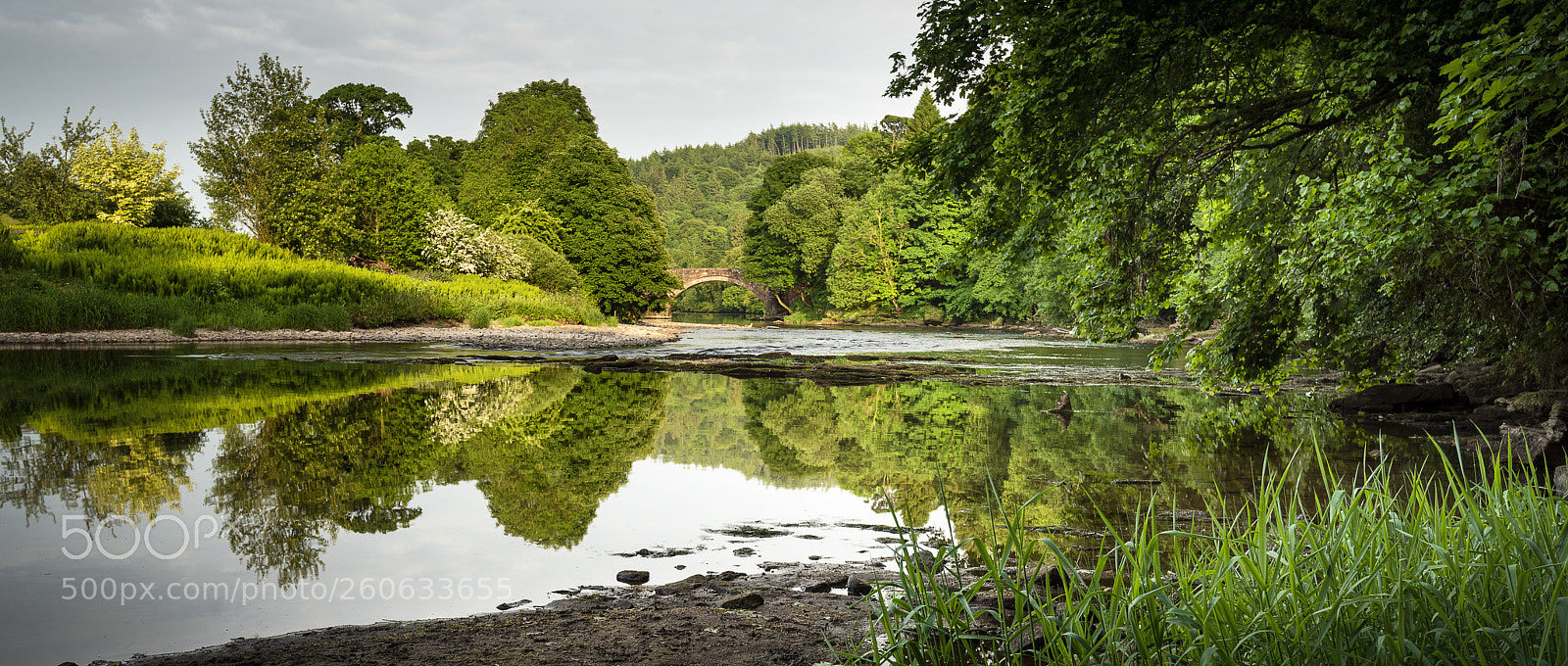 Nikon D810 sample photo. Hoddom bridge photography