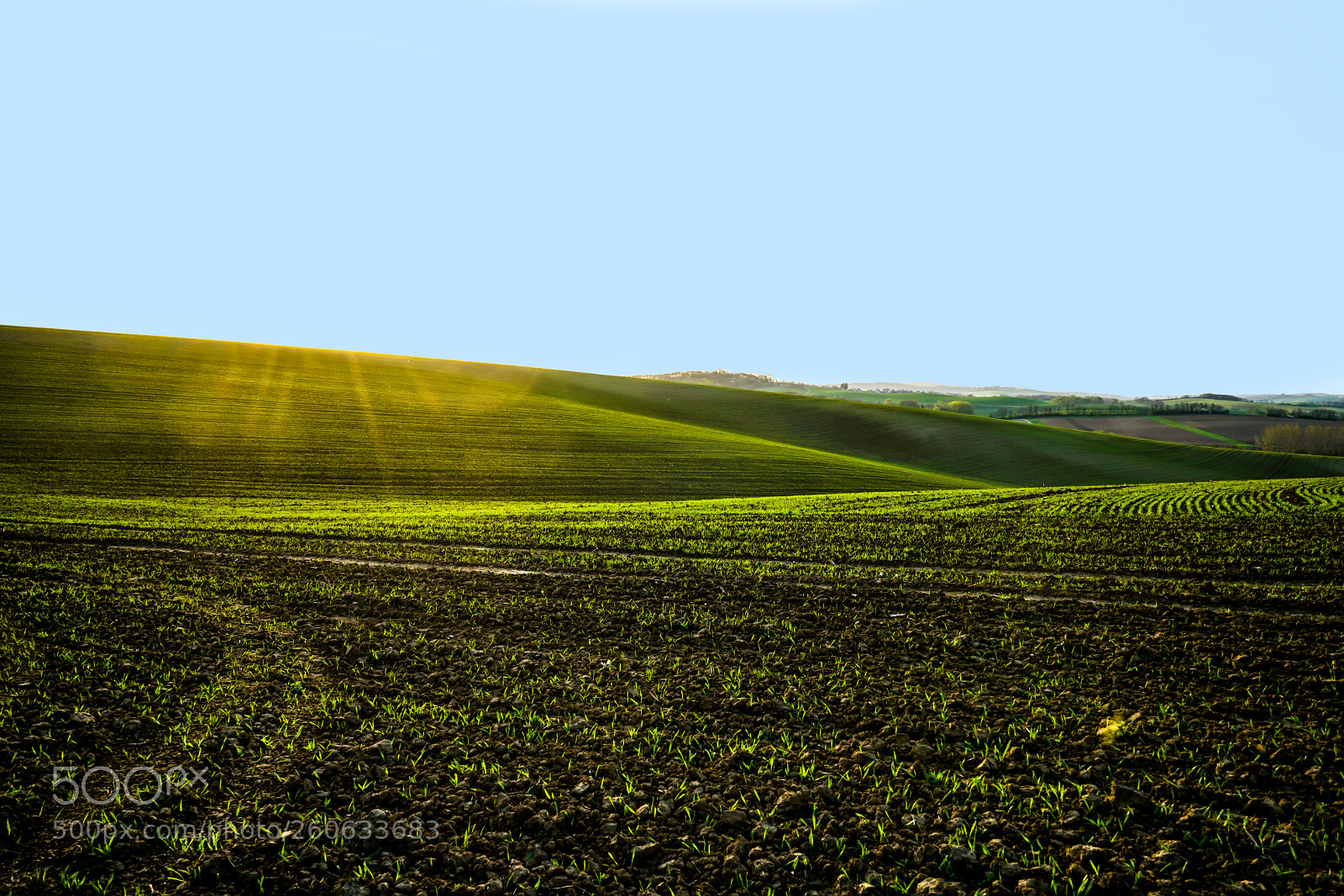 Sony a7R II sample photo. Clear sky photography