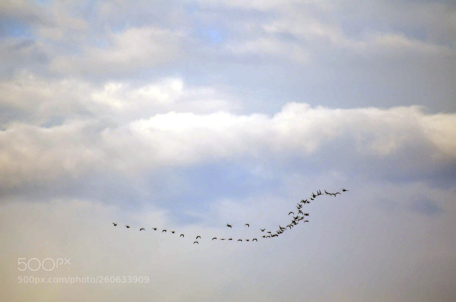 Nikon D5100 sample photo. Untitled photography