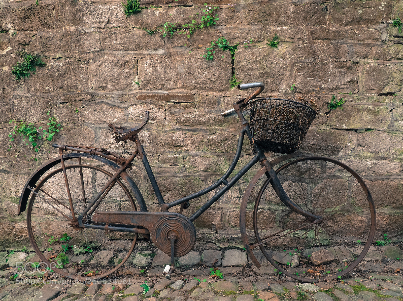 Olympus OM-D E-M1 Mark II sample photo. Old rusty bike photography
