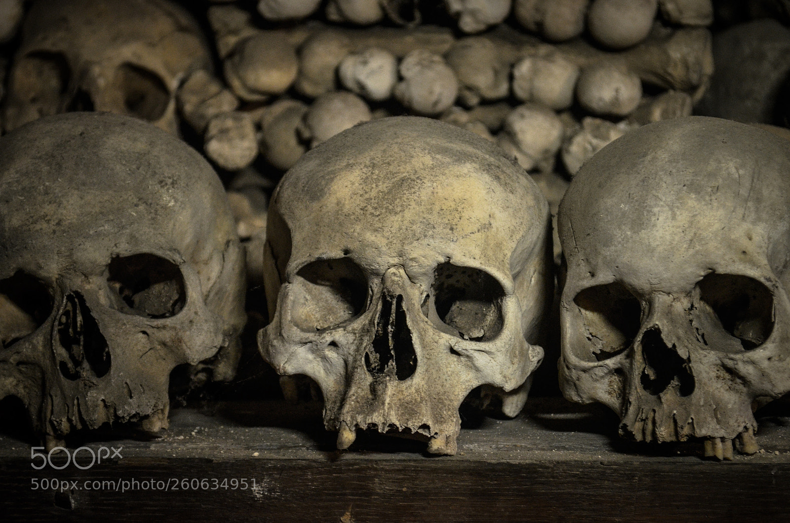 Nikon D5100 sample photo. Kostnice sedlec photography