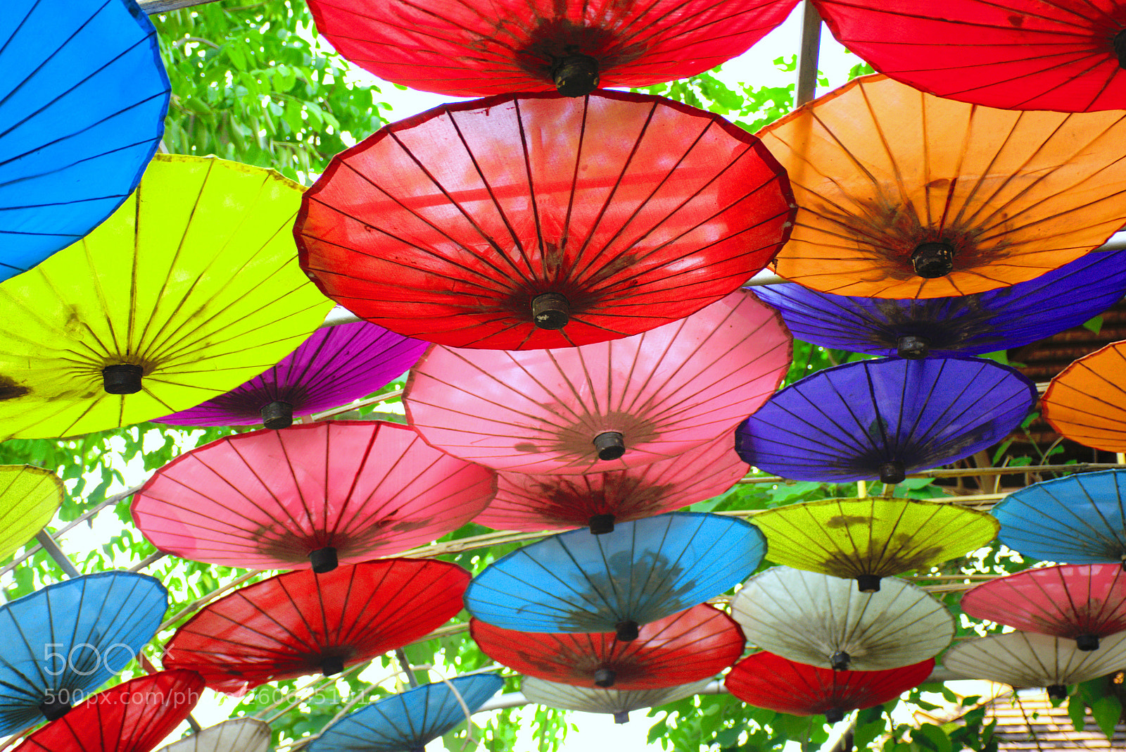 Nikon D5300 sample photo. Colorful umbrella. photography