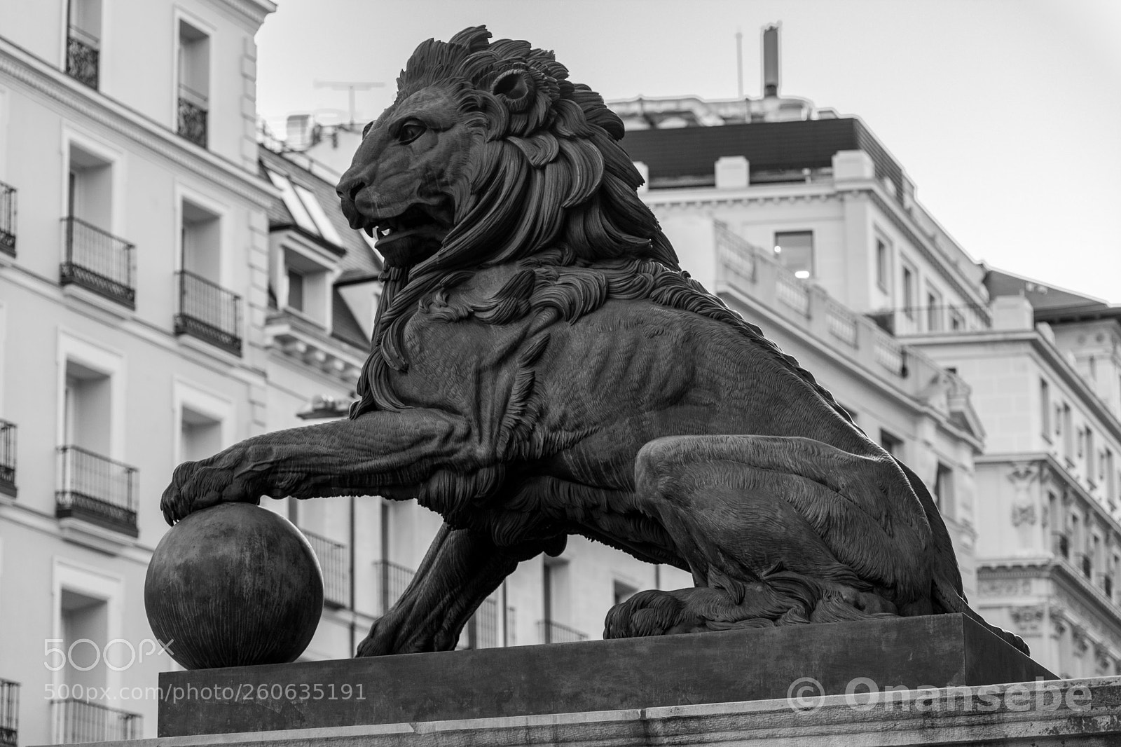 Nikon D5200 sample photo. Lyon photography