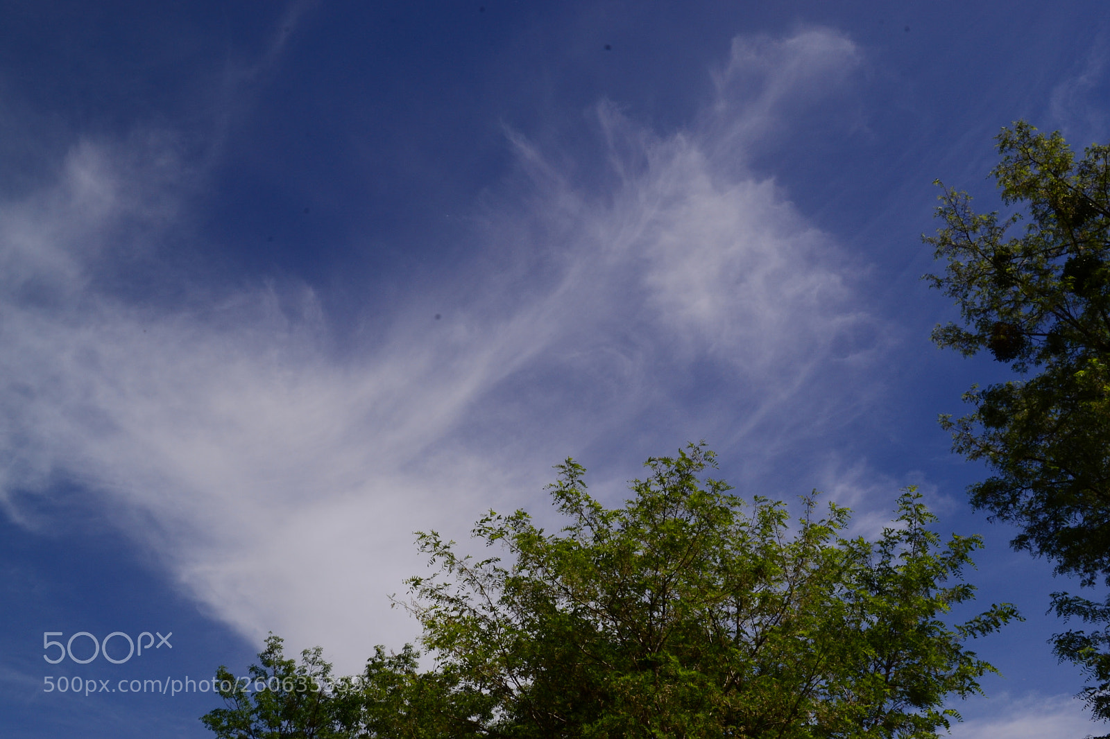 Nikon D3100 sample photo. Summer, sky, clouds ... photography