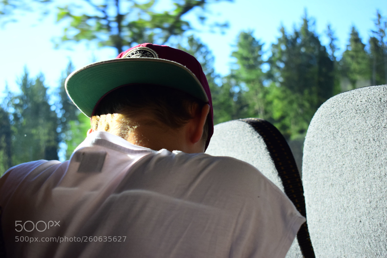 Nikon D3300 sample photo. Untitled photography