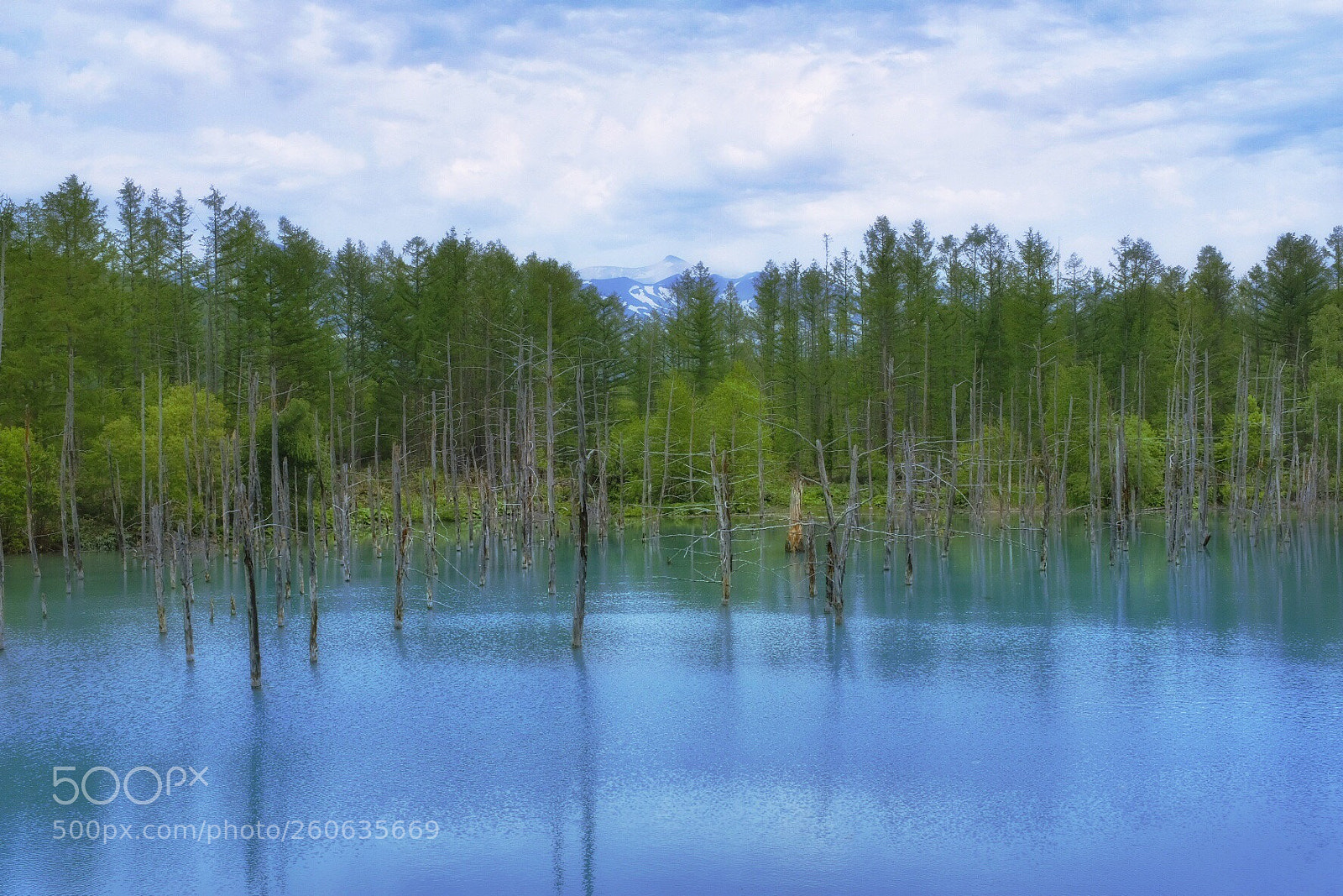Fujifilm X100F sample photo. Blue pond forest lake photography