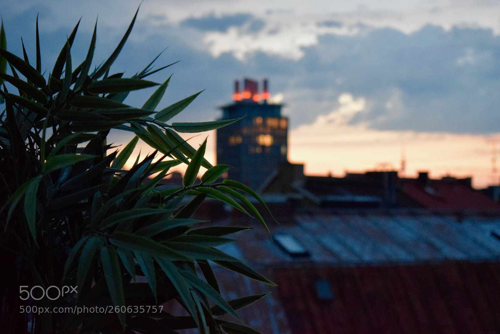Nikon D3300 sample photo. Distance photography